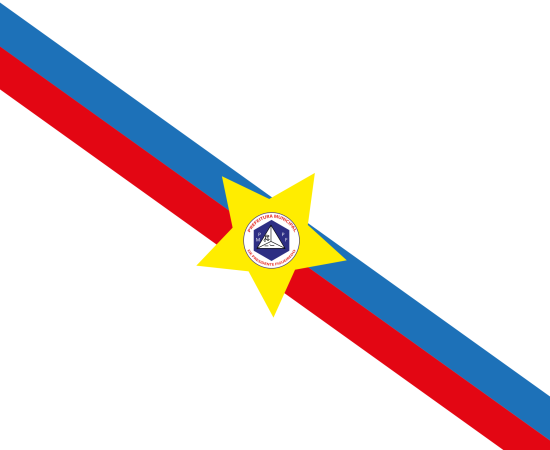 Bandeira de figueiredo para visualização